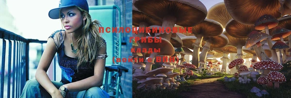 а пвп мука Арсеньев